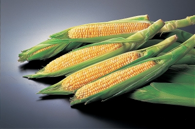 Ƃ