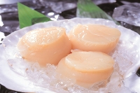 сEقāE